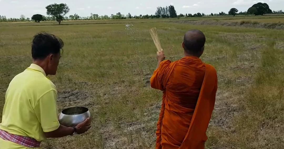 ชาวโคราช นิมนต์พระสงฆ์ทำพิธีบังสุกุล สวดมนต์ขอฝน หลังแล้งหนักข้าวยืนต้นตาย