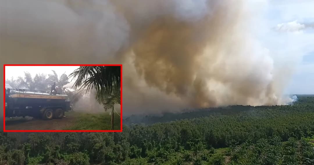 ไฟป่าโหมหนักดับไม่ได้ ผู้ว่าฯ เมืองคอน คาดฝีมือคนจุดแล้วลุกลาม