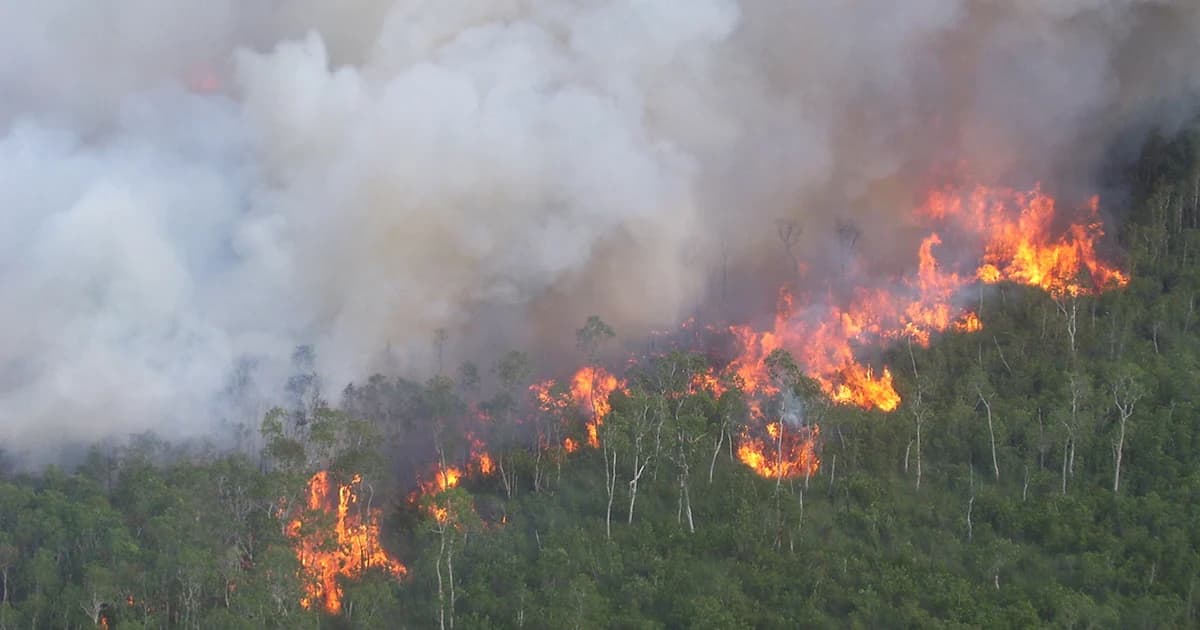 ไฟป่าพรุควนเคร็งยังคุมไม่อยู่ จนท.ประสานกำลังจังหวัดใกล้เคียงเข้าสกัด