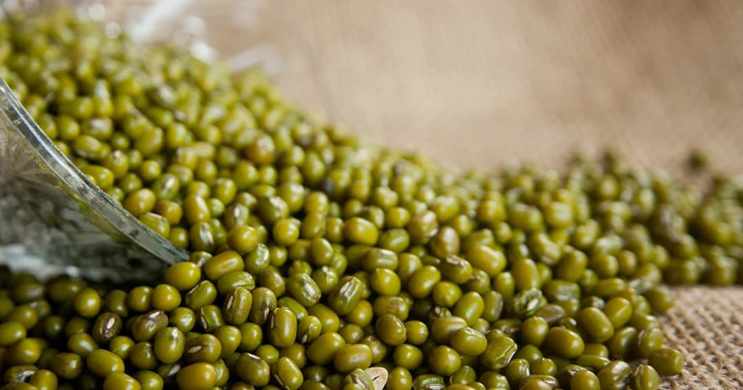 “ประภัตร” หนุนเกษตรกรปลูกถั่วเขียวขายสหรัฐฯ 1 แสนตัน นำร่อง 6 จังหวัด