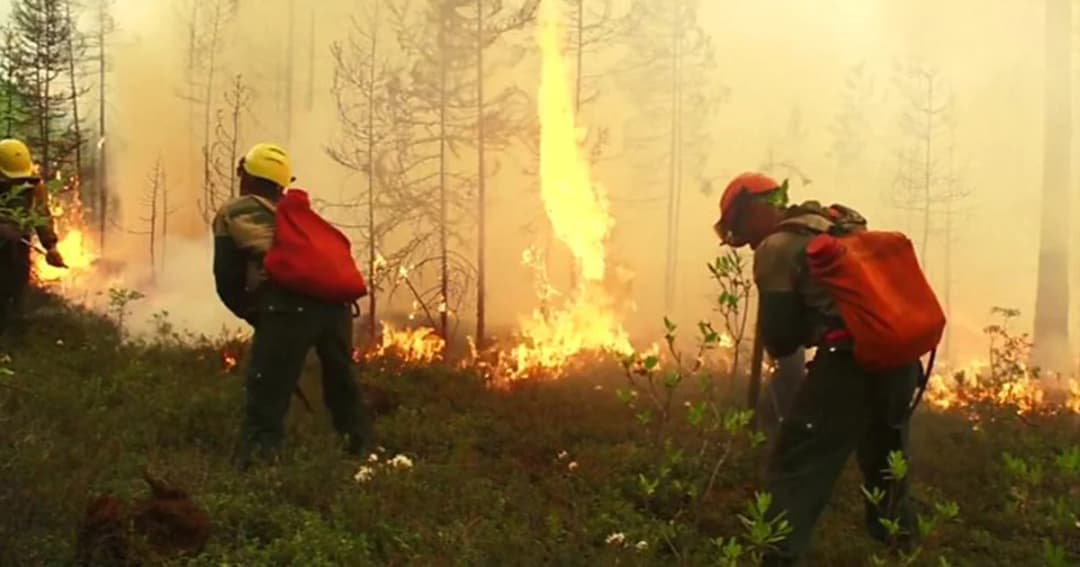 ปูตินสั่งกองทัพเข้าช่วยดับไฟป่าในไซบีเรีย
