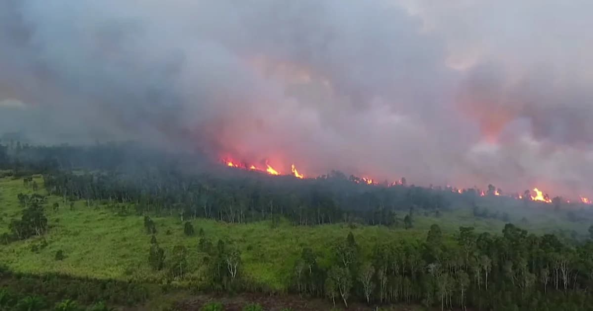 นครศรีฯ ประกาศภัยพิบัติไฟป่า 2 อำเภอ เขตป่าพรุควนเคร็ง เร่งควบคุมแนวไฟ