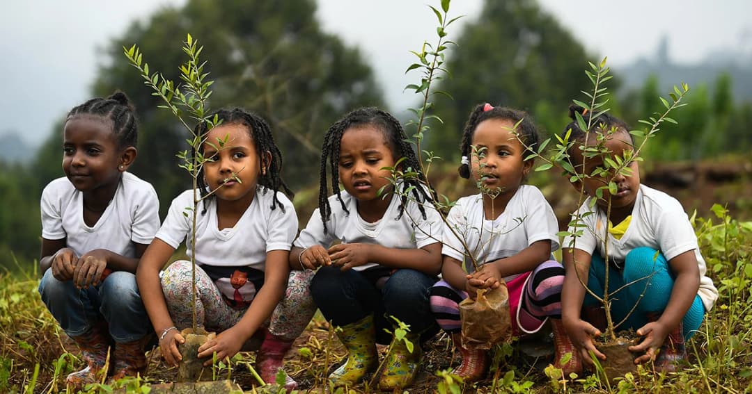 เอธิโอเปียสร้างสถิติโลก ปลูกต้นไม้ 350 ล้านต้น ภายใน 12 ชั่วโมง