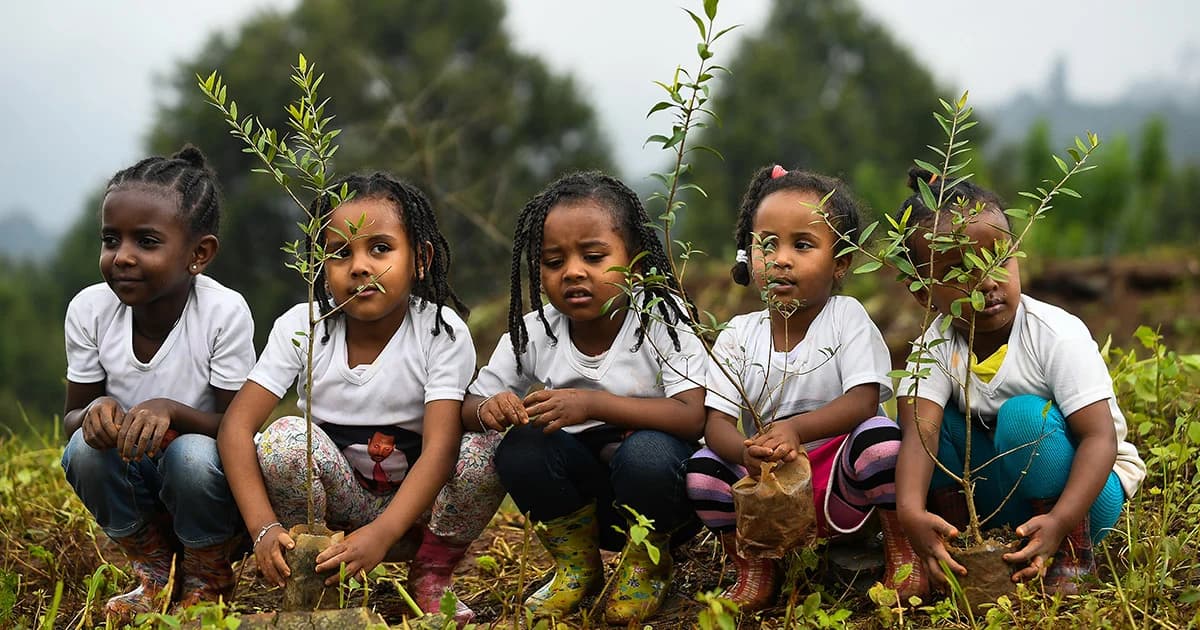 เอธิโอเปียสร้างสถิติโลก ปลูกต้นไม้ 350 ล้านต้น ภายใน 12 ชั่วโมง