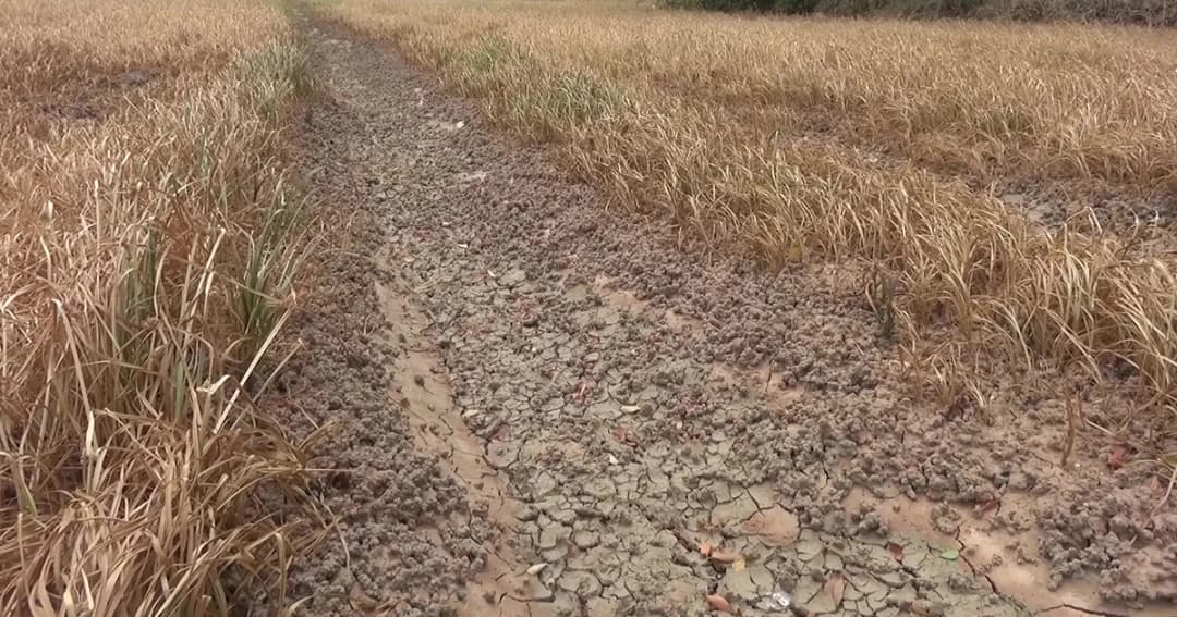 ผู้ว่าสระแก้วสั่งหน่วยงานที่เกี่ยวข้อง ช่วยแก้ปัญหาภัยแล้งในพื้นที่