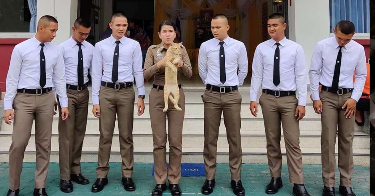 เปิดความน่ารักของโรงพักทาสแมว เลี้ยง ‘บักเผิ่ง’ แมวหลงทางจนเป็นแมวประจำโรงพัก