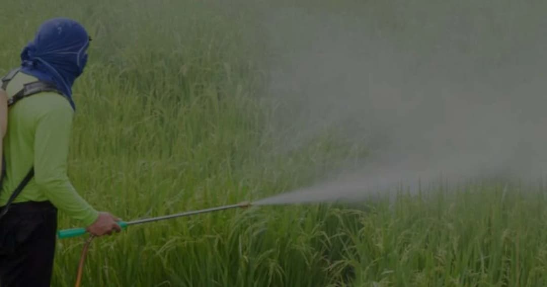 เปิดข้อมูลบัตรทองปี 62 พบผู้ป่วยพิษสารเคมีกว่า 3 พันราย