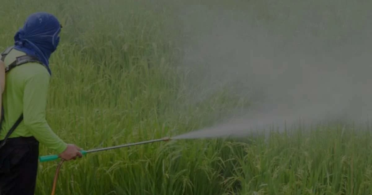 เปิดข้อมูลบัตรทองปี 62 พบผู้ป่วยพิษสารเคมีกว่า 3 พันราย