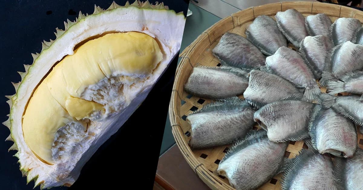 ขึ้นบัญชีมรดกภูมิปัญญาทางวัฒนธรรม แข่งว่าวดุ๊ยดุ่ย-ทุเรียนนนท์-ปลาสลิดบางบ่อ