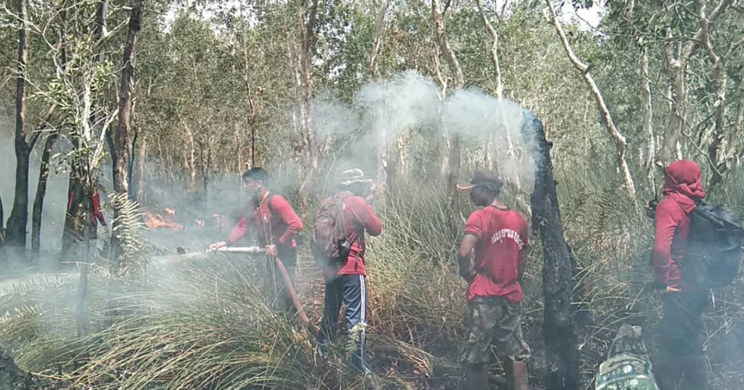 ทำฝนหลวงคลี่คลายสถานการณ์ไฟไหม้ป่าพรุควนเคร็ง