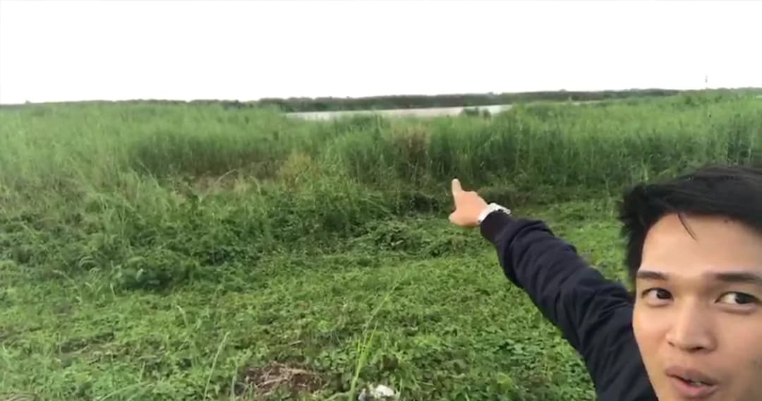 วิกฤตภัยแล้ง เปลี่ยนสภาพแม่น้ำโขง กลายเป็นทุ่งหญ้า