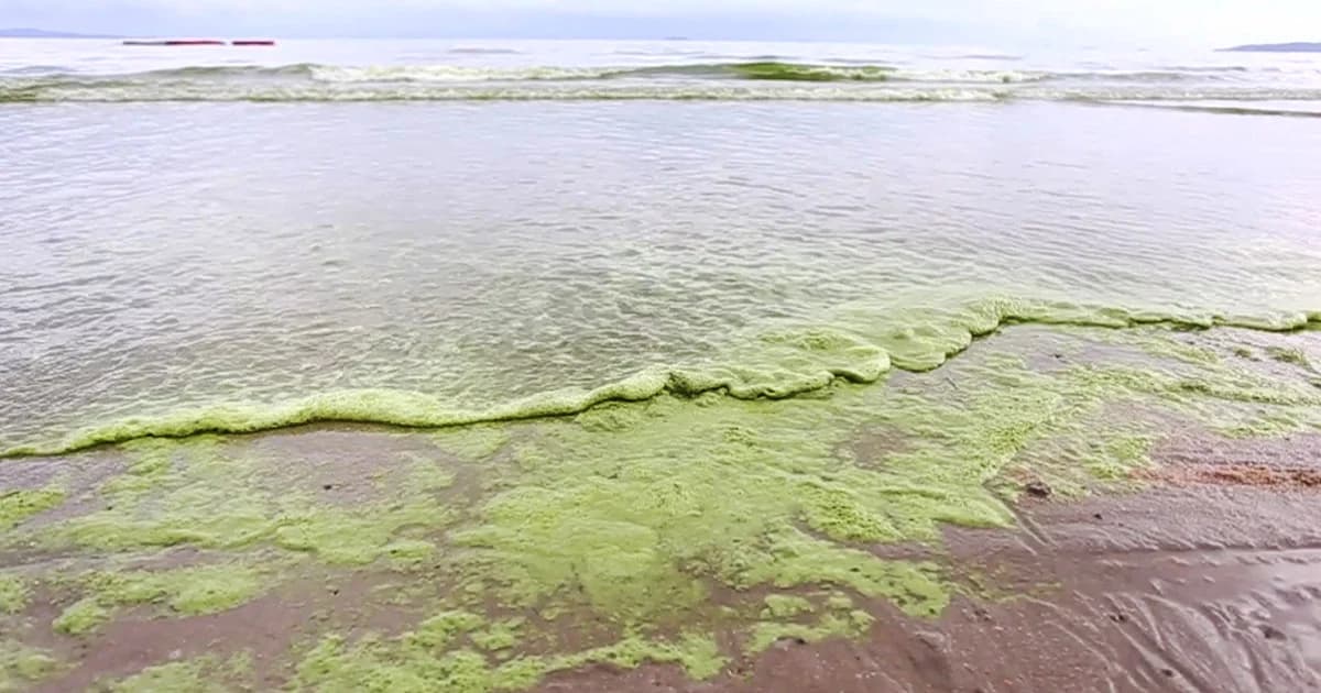 น้ำทะเลเปลี่ยนสี หลังเกิดปรากฏการณ์ขี้ปลาวาฬอ่าวจอมเทียน จ.ชลบุรี