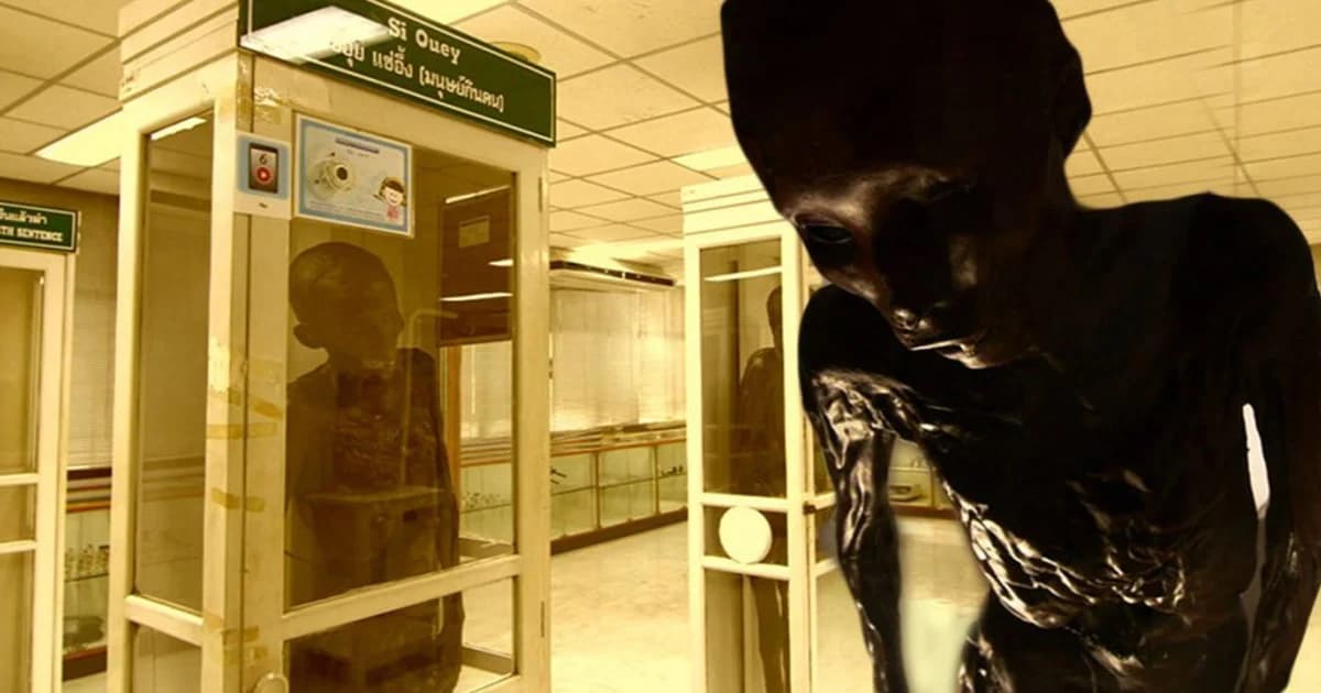 รพ.ศิริราชย้าย “ซีอุย” ออกจากพิพิธภัณฑ์นิติเวชศาสตร์