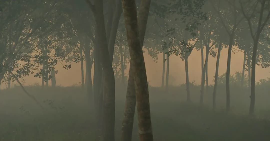 ยังคุมไม่ได้! ไฟป่าพรุควนเคร็งลามเข้าเขตชุมชนชาวบ้านหนีวุ่น