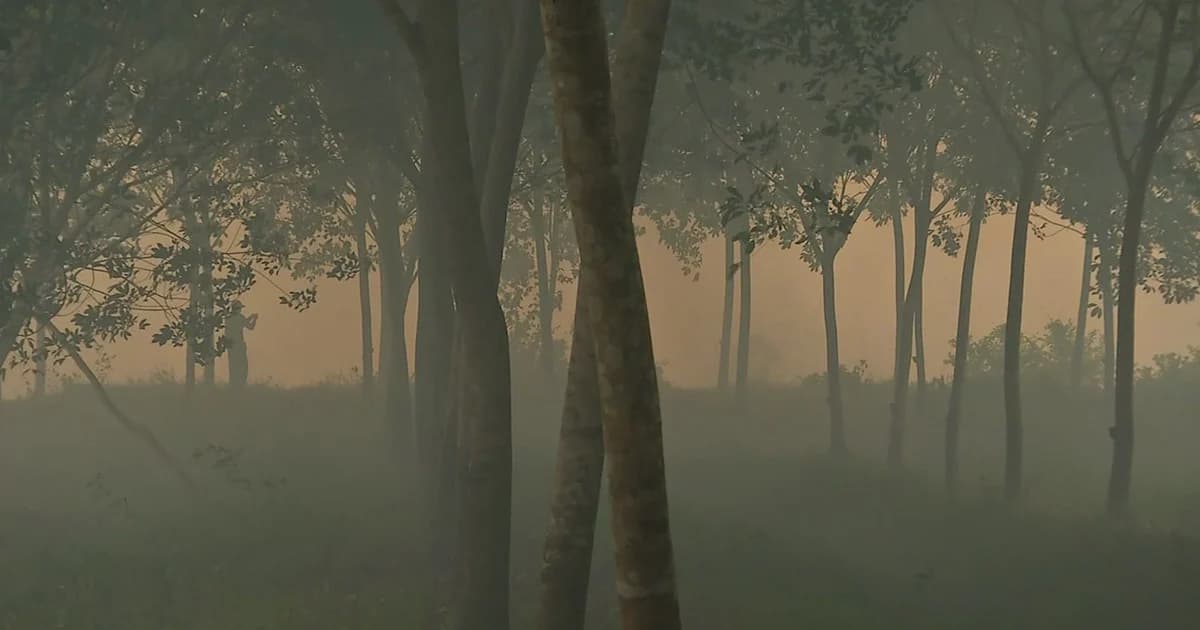 ยังคุมไม่ได้! ไฟป่าพรุควนเคร็งลามเข้าเขตชุมชนชาวบ้านหนีวุ่น