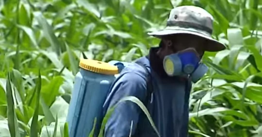 รมช.เกษตร เตรียมหาทางเลิกใช้สารเคมีอันตรายภายในสิ้นปีนี้