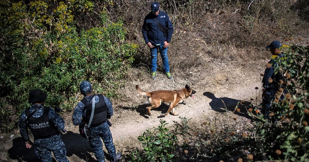 แก๊งค้ายาเม็กซิโกฆ่าโหด แขวนสะพาน-หมกป่า รวม 19 ศพ