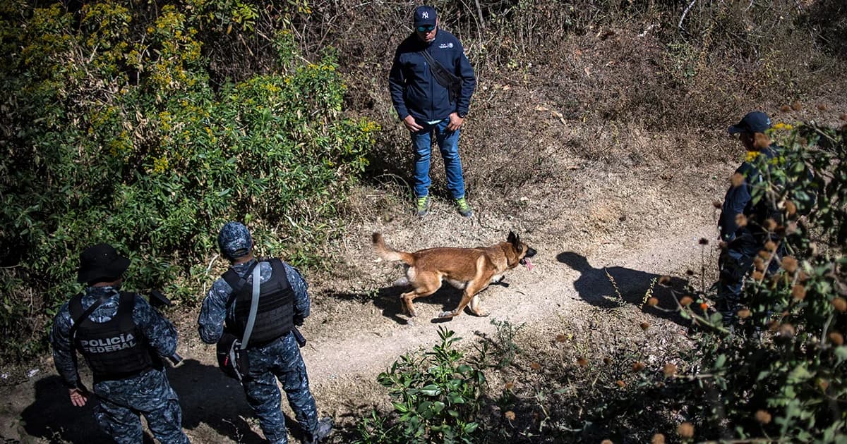 แก๊งค้ายาเม็กซิโกฆ่าโหด แขวนสะพาน-หมกป่า รวม 19 ศพ