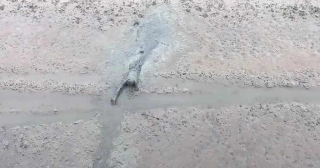 ชาวบ้านป่วน! เร่งช่วยชายตกโคลนคิดว่าจะฆ่าตัวตายสุดท้ายแค่ลงไปเก็บของ