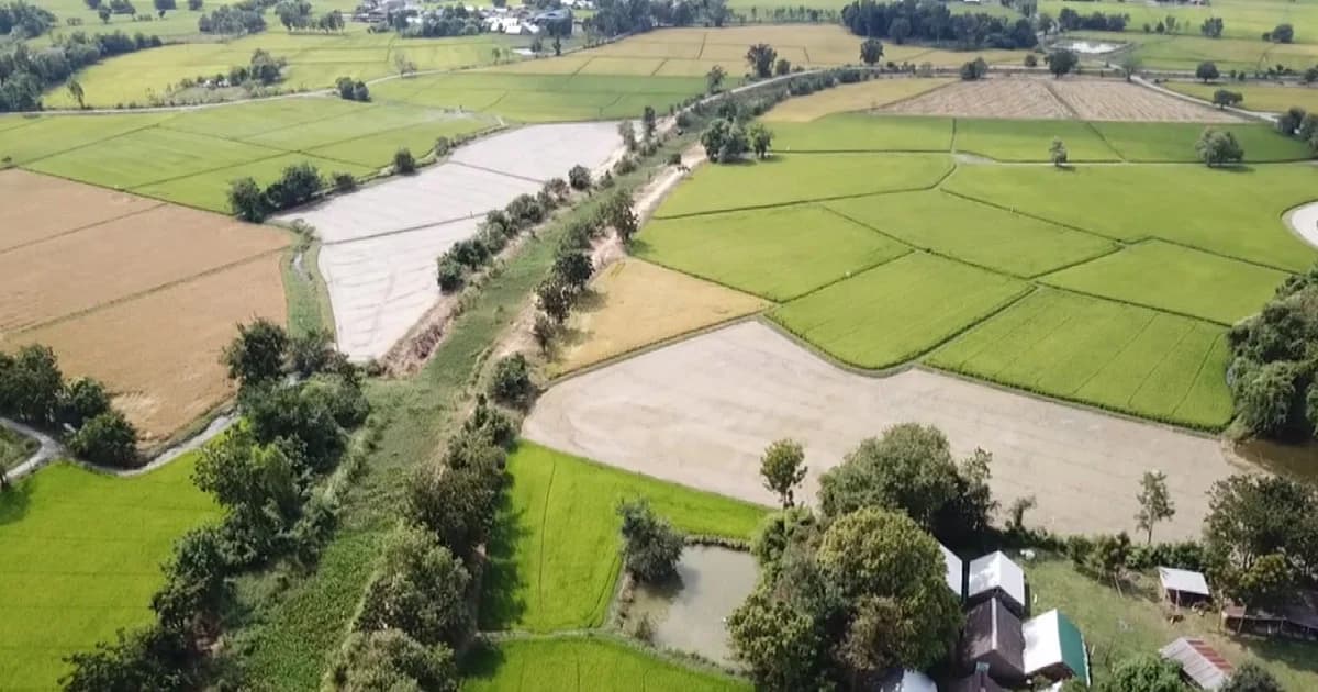 ธนารักษ์ประเมินราคาที่ดินขึ้น 8% “กำแพงเพชร” พุ่ง 200% “ชิดลม-สยาม” แพงสุด 1 ล้าน/ตร.ว.