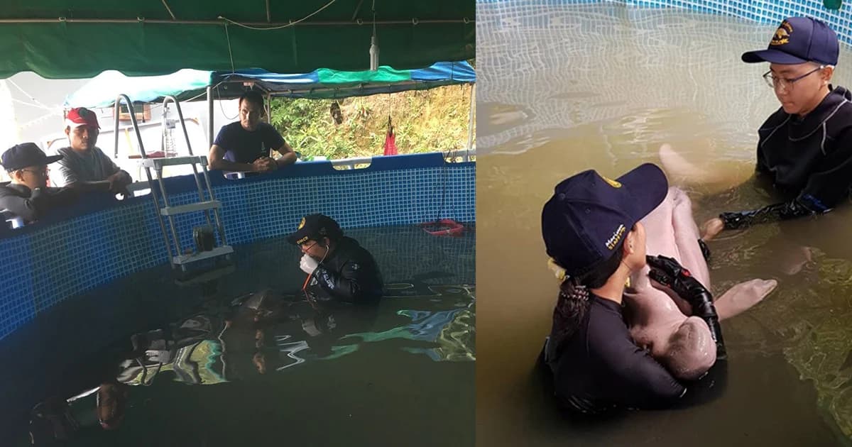 “มาเรียม” ยังซึม มีภาวะติดเชื้อร่างกายแห้งน้ำมาก ระดมทีมแพทย์ดูแลใกล้ชิด