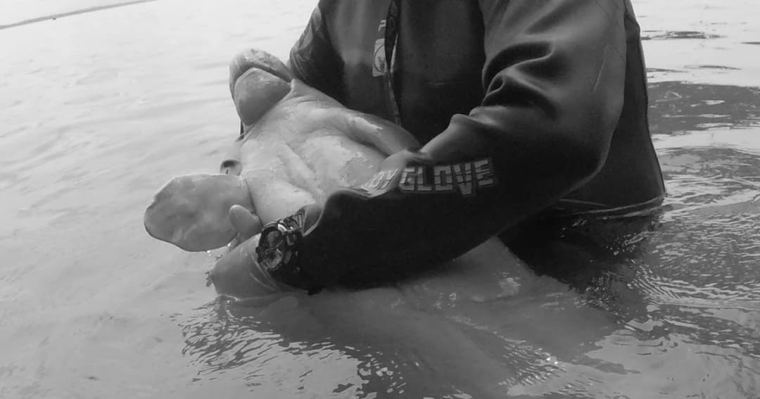 ย้อนลำดับอาการป่วยก่อน “มาเรียม” นางฟ้าน้อยแห่งท้องทะเลจากไป