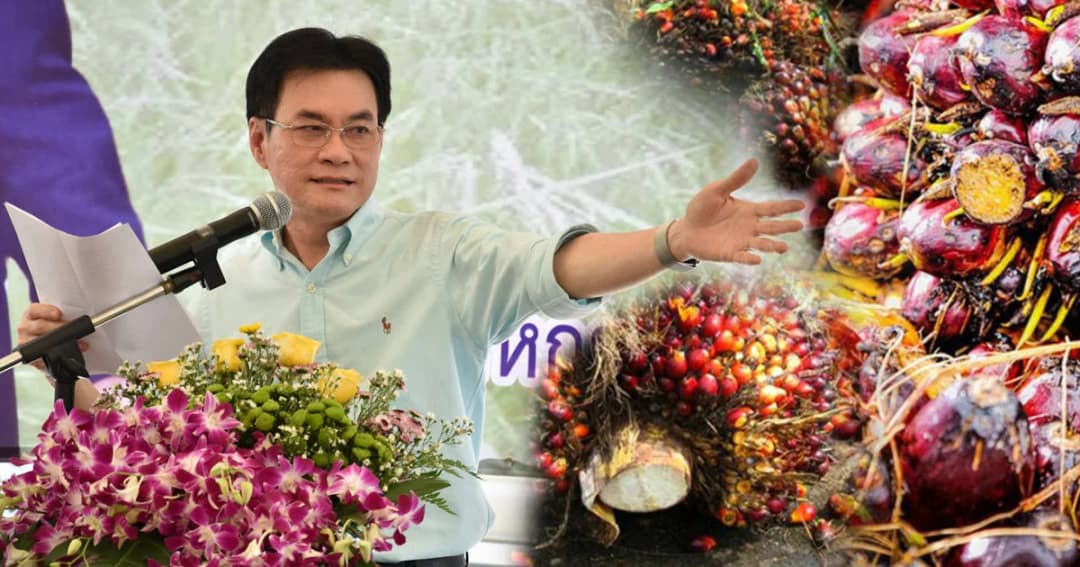 “จุรินทร์” ดันประกันราคาปาล์ม 4 บาท/กก. เข้า ครม. 20 ส.ค.นี้