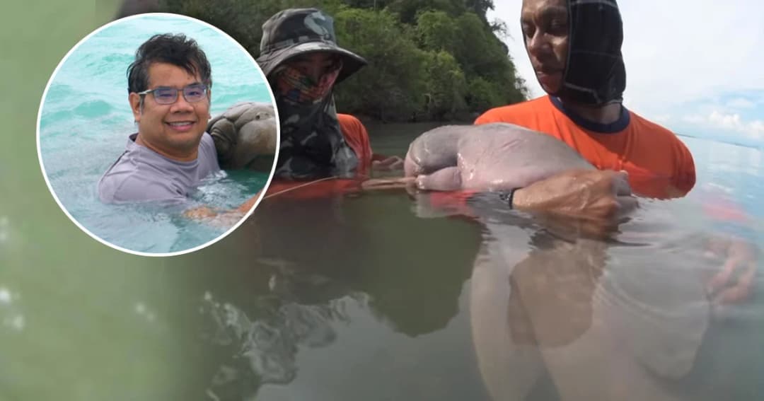 ‘อ.ธรณ์’ ถอด 7 บทเรียน กรณี ‘มาเรียม’ ปัญหาขยะกับทะเลไทยอย่าให้เป็นแค่กระแสชั่ววูบ