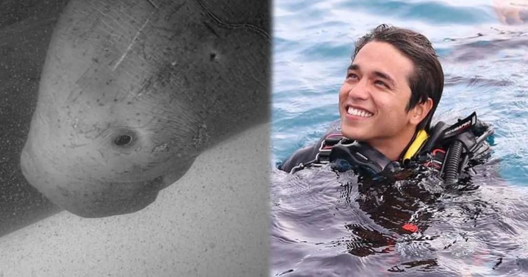 จากใจอเล็กซ์… มาเรียมจะอยู่ในใจผมเเละคนไทยไปอีกนาน