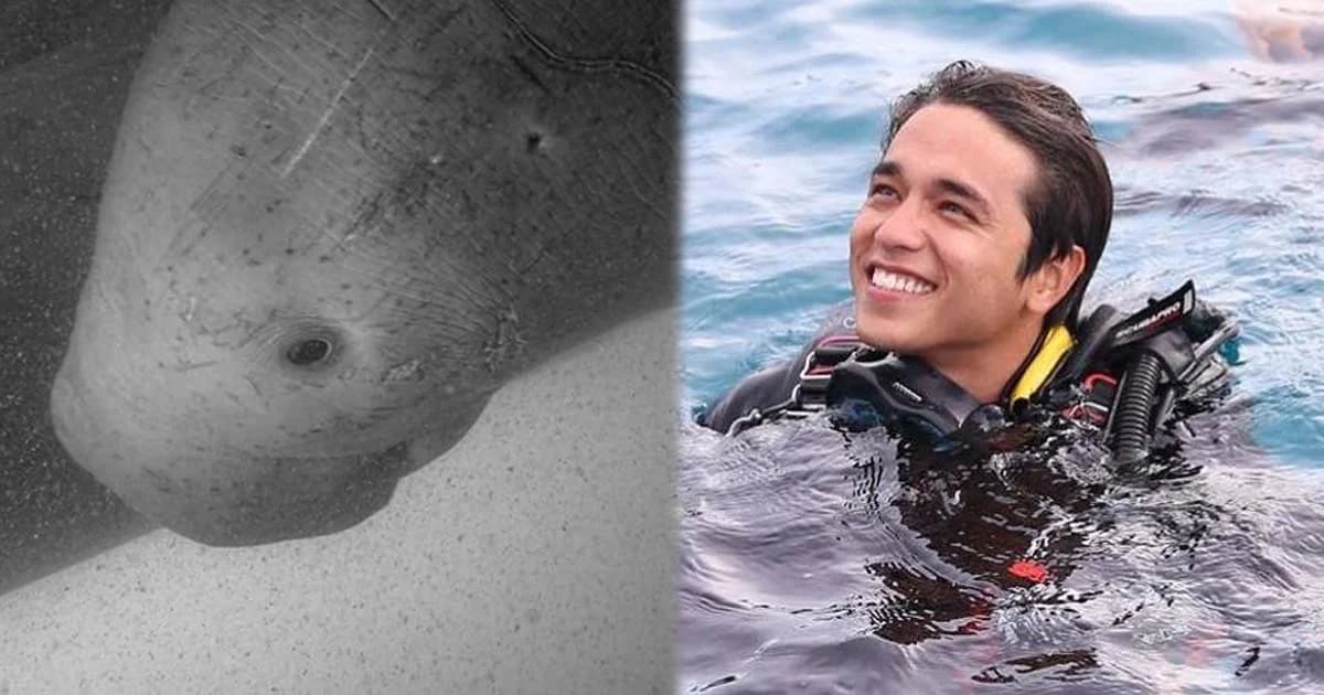 จากใจอเล็กซ์… มาเรียมจะอยู่ในใจผมเเละคนไทยไปอีกนาน