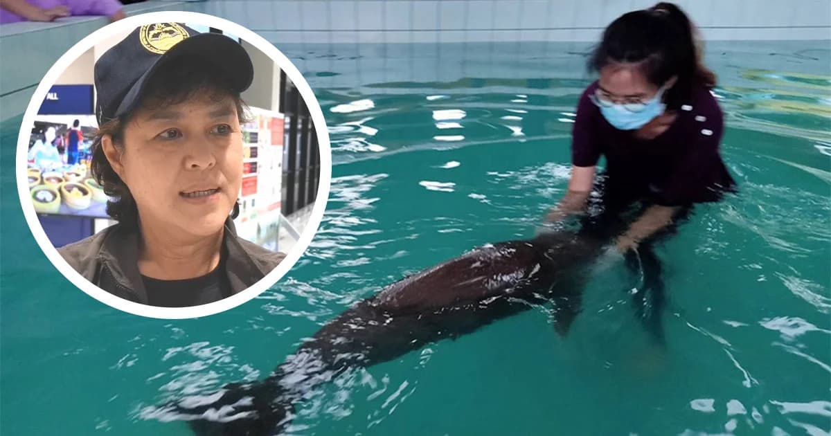 ผอ.ศูนย์วิจัยโรคสัตว์น้ำ จุฬาฯ ชี้ หากจำเป็น อาจต้องเลี้ยงยามีล ในอควาเรียม