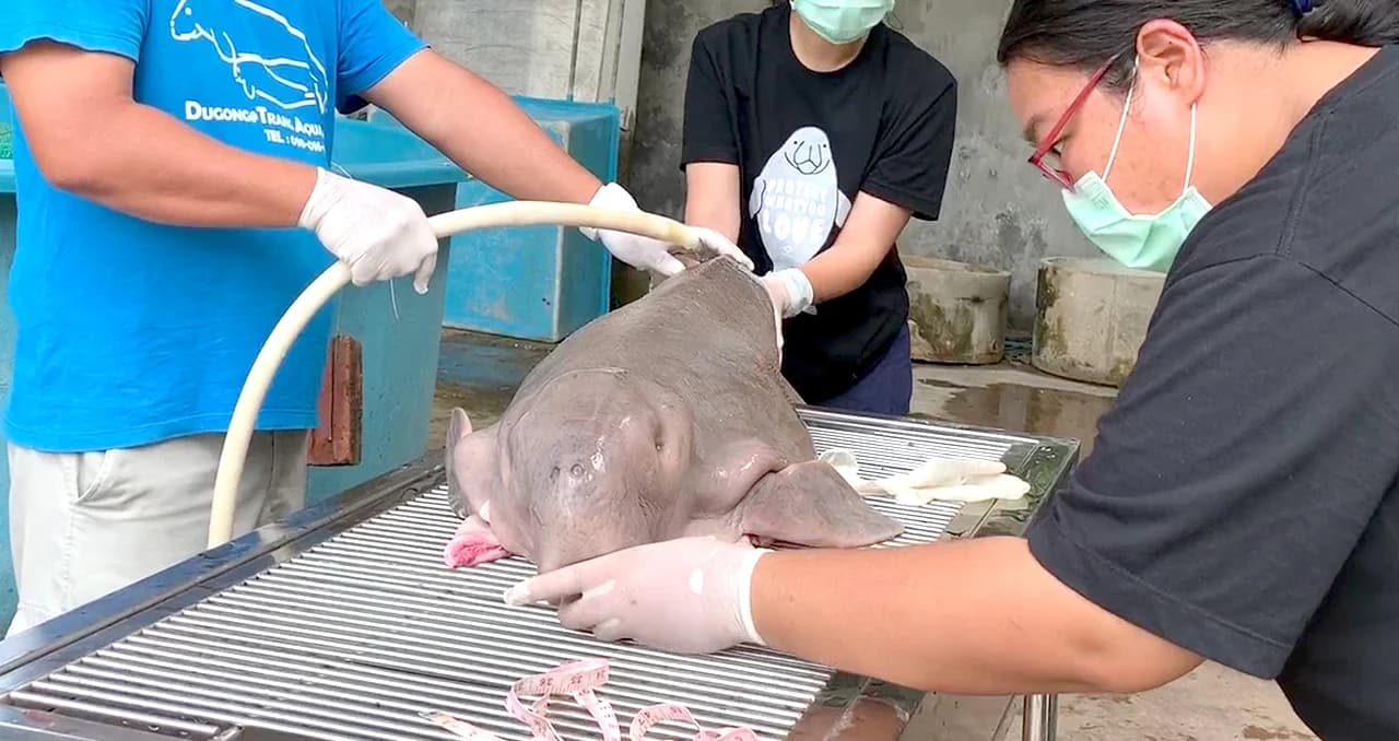 ‘111 วันฉันรักเธอ’ อาบน้ำมาเรียมครั้งสุดท้ายก่อนสตาฟ