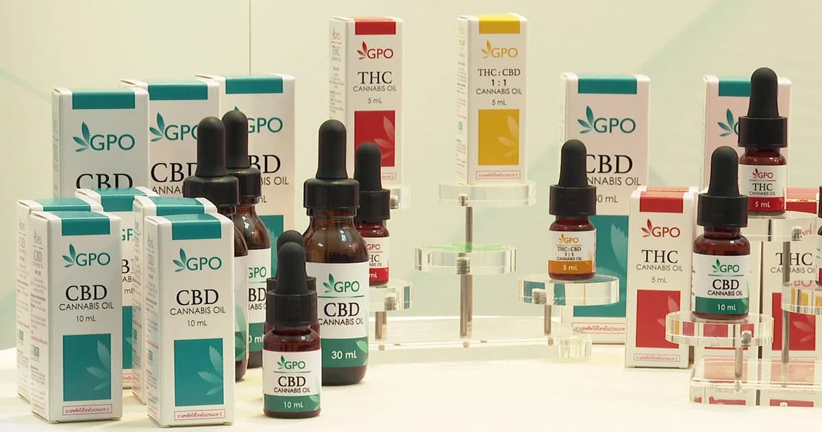 ดีเดย์วันนี้ แจกจ่ายยากัญชาทางการแพทย์ให้ 19 โรงพยาบาล