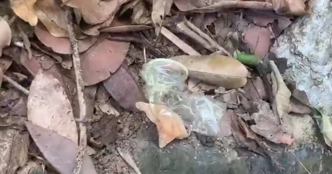 ชาวพัทยาสุดเอือม ! ถุงยางเกลื่อนเขาทัพพระยา