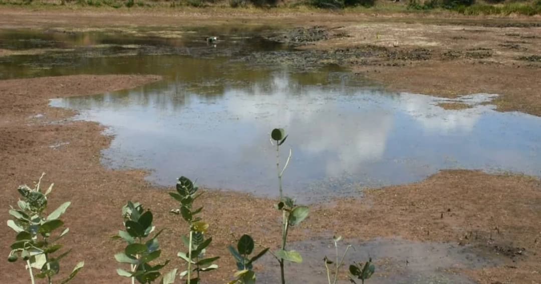 โคราชแล้งหนัก ห้วยแถลงเหลือน้ำใช้อีก 3 วัน เร่งหาแหล่งอื่นเพิ่ม