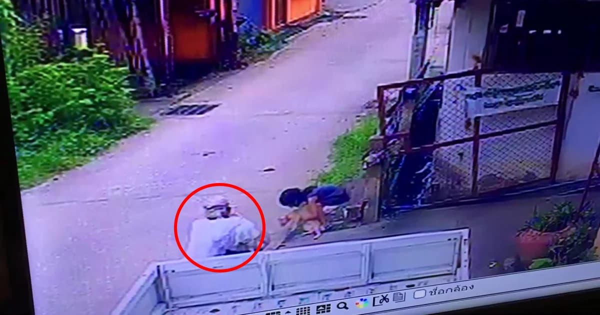 เฒ่า 70 อนาจารเด็ก 4 ขวบ อ้างเปิดกระโปรงดูรอยแมวข่วน