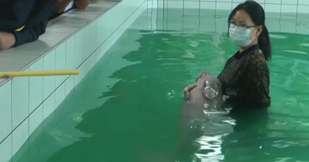 ระดมทีมแพทย์ในภูเก็ต วินิจฉัยโรค “ยามีล” พบสภาวะลำไส้หยุดทำงาน อาการยังคงที่