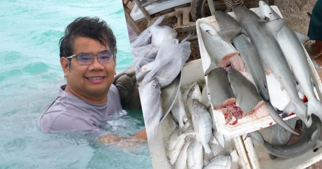 “อ.ธรณ์” แจงฉลามหูดำ ยังไม่เป็นสัตว์คุ้มครอง หลังพบถูกชำแหละขายบนเกาะลันตา