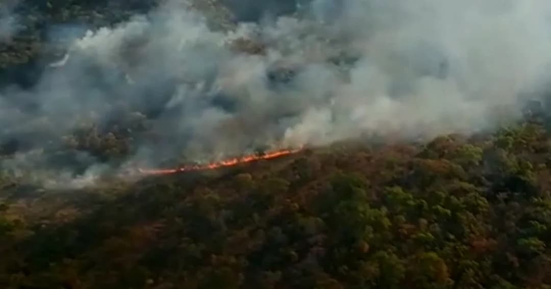 นายกฯ ห่วงใยไฟไหม้ป่าอเมซอนในประเทศบราซิล พร้อมสนับสนุนช่วยเหลือ