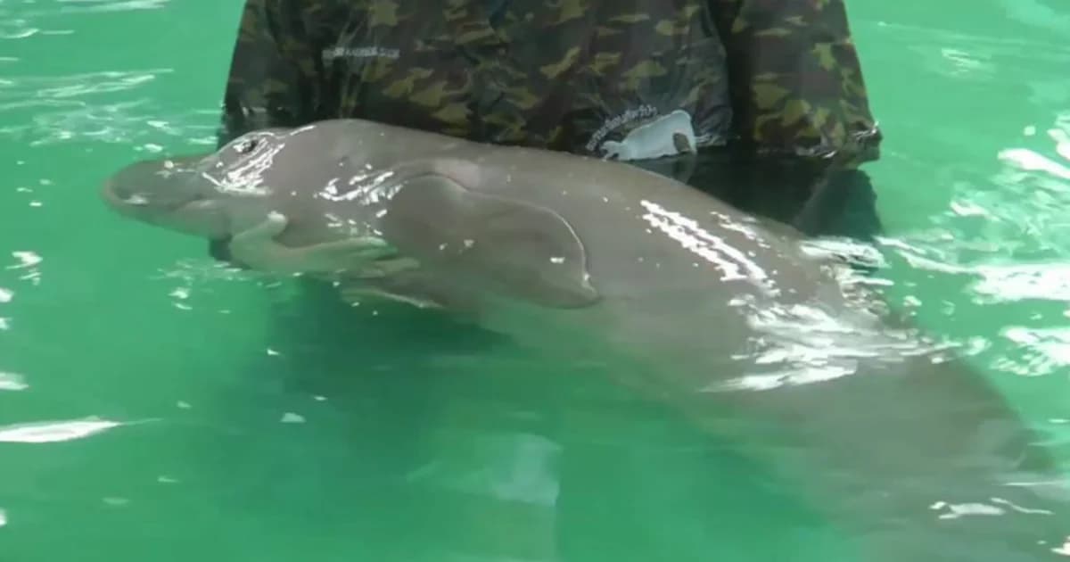 อาการ “ยามีล” ยังต้องเฝ้าระวัง มีแก๊สสะสมในกระเพาะอาหาร-ลำไส้ ชักเกร็งบางครั้ง