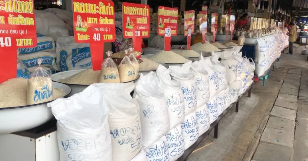 คาดถ้าฝนไม่มา ราคาข้าวเหนียวจะยิ่งแพงขึ้นไปอีก