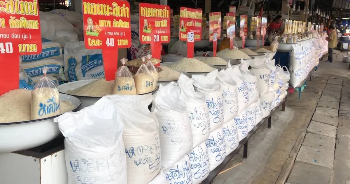 คาดถ้าฝนไม่มา ราคาข้าวเหนียวจะยิ่งแพงขึ้นไปอีก