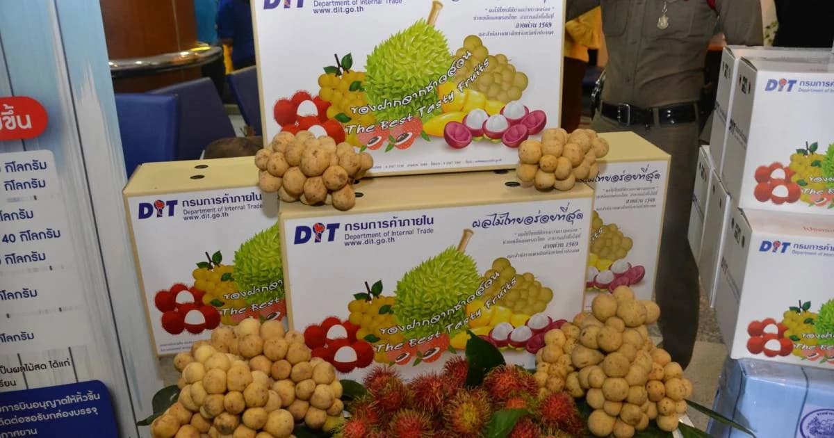 ซื้อผลไม้สดนำขึ้นเครื่องบินได้ฟรี 20 กก. ไม่เสียเงินเพิ่ม