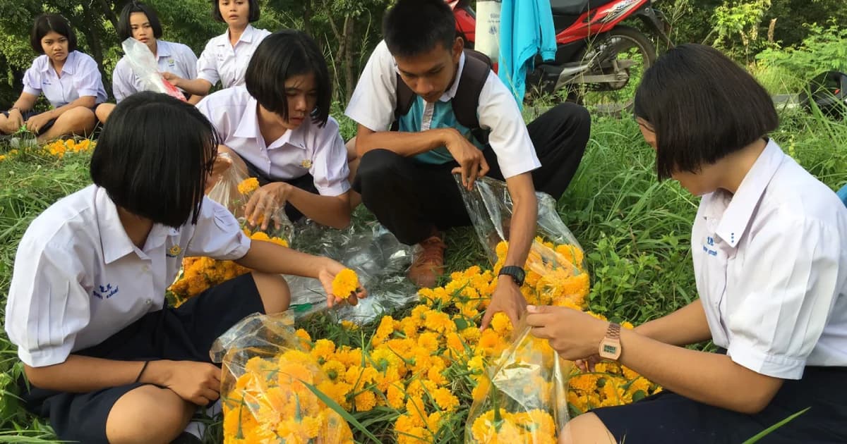 ไอเดียเจ๋ง!! นักเรียนโรงเรียนชายแดนไทย-กัมพูชา ปลูกดาวเรืองมีรายได้ในระหว่างเรียน