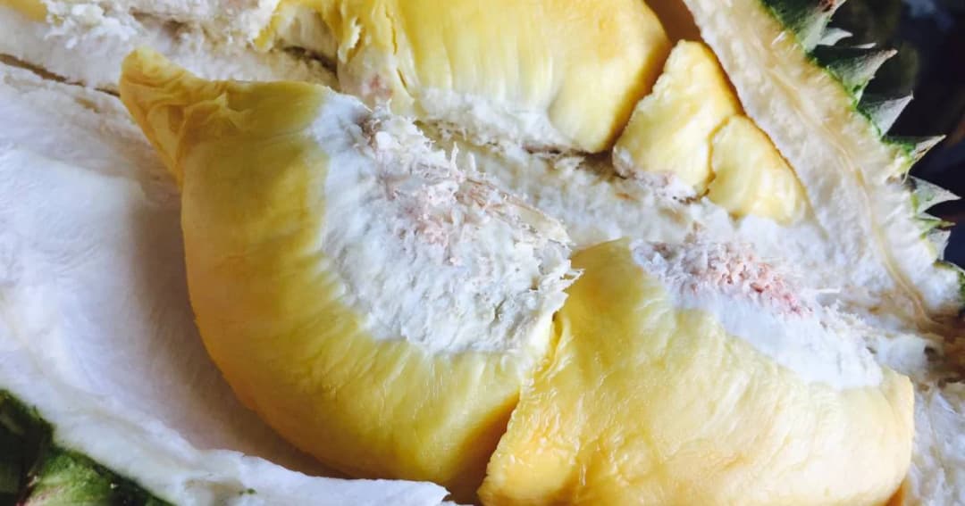 ทุเรียนไทยครองแชมป์เบอร์ 1 โลก ทำยอดครึ่งปี 62 กว่า 800 ล้านเหรียญสหรัฐ