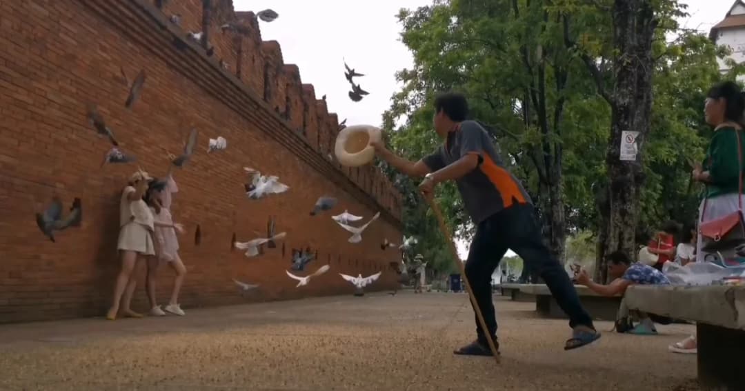 “ตบไล่นก” ถ่ายภาพสวยให้ นทท. อาชีพใหม่เงินดีแต่ผิดกฎหมาย