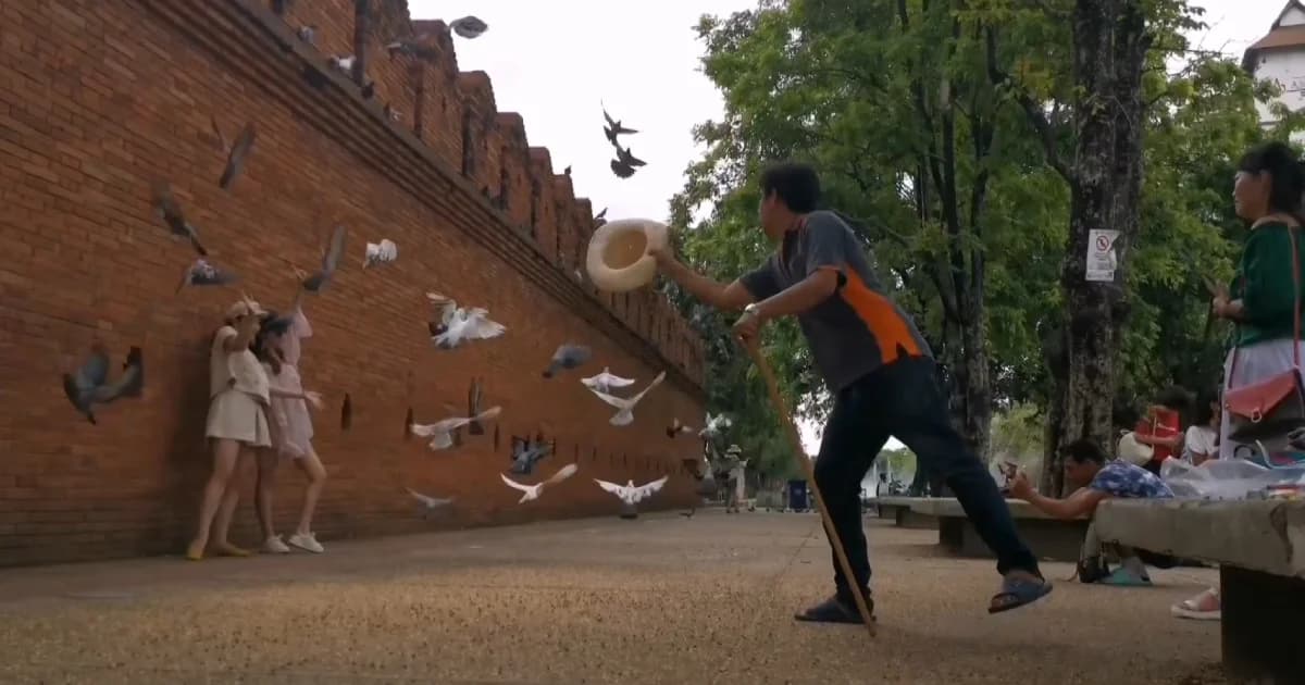 “ตบไล่นก” ถ่ายภาพสวยให้ นทท. อาชีพใหม่เงินดีแต่ผิดกฎหมาย