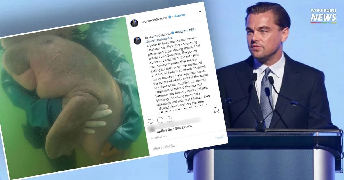 ลีโอนาร์โด ดาราฮอลลีวูดนักอนุรักษ์ โพสต์ถึง “มาเรียม” ขวัญใจคนไทยตายเพราะกินพลาสติก