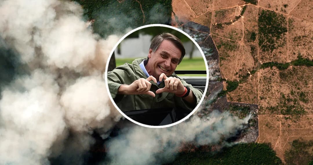 ไฟไหม้ป่าอเมซอน เป็นเพราะนโยบายประธานาธิบดี ไม่ใช่ธรรมชาติ