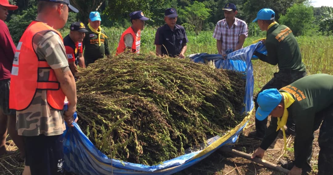 น้ำป่าหลากแม่ฮ่องสอน ชาว อ.ปาย เร่งขนต้นงาหนีน้ำโกลาหล